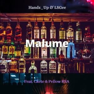 Malume (feat. Ckete & Pellow RSA)