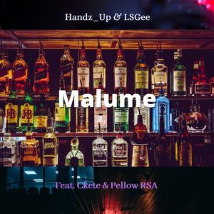 Malume(feat. Ckete & Pellow RSA)