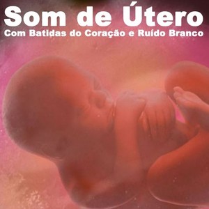 Som de Útero Com Batidas do Coração e Ruído Branco - Loopable