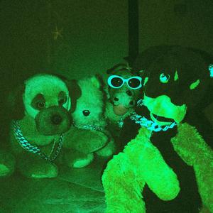 We Don't Need Cynologists We Are Ghetto Dogsled