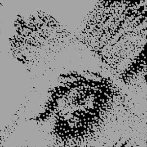 Free Them (Explicit)