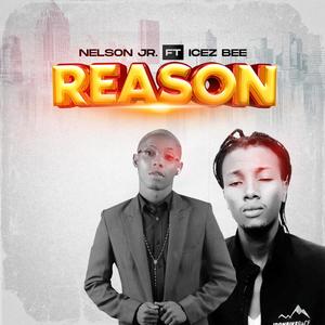 Reason (feat. Icez Bee)