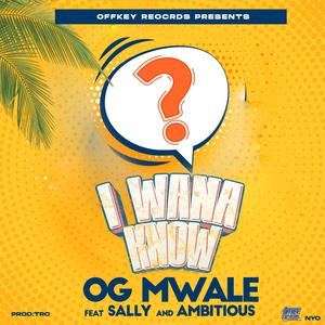 OG Mwale - I Wanna Know (feat. Sally & Ambitious)