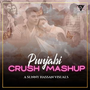 Punjabi Crush Mashup
