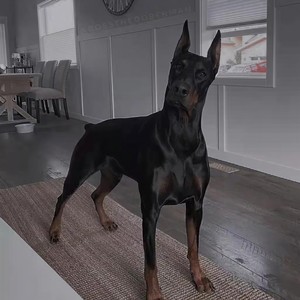 为了碎银几两 (Remix)