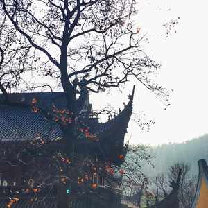 你没听过王维的相思吗？封面