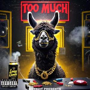 Too Much (Explicit)