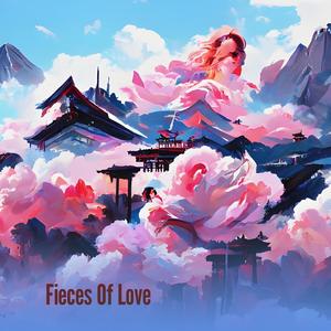 Fieces Of Love