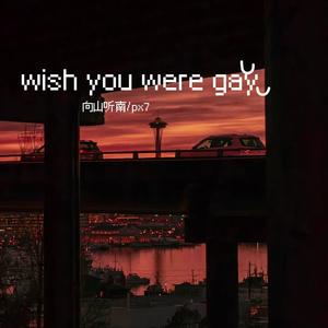 wish you were gay