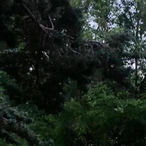 ALL 4 ME! (feat. Mako) (Explicit)