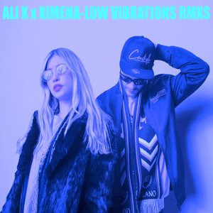 Low Vibrations (Badwolf Remix)