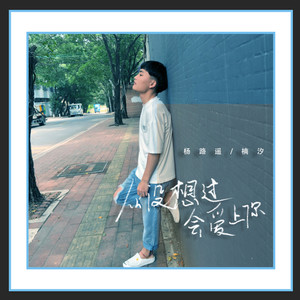 从没想过会爱上你