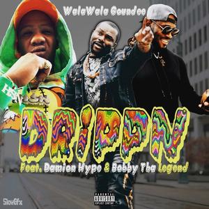 Drippn (feat. Bobby Tha Legend& Damion Hype) [Explicit]