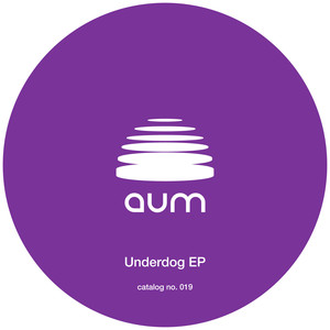 Underdog (DJ HI-C Remix)