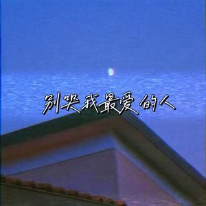 别哭我最爱的人 (今夜我如昙花绽放)封面