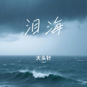 泪海-大头针