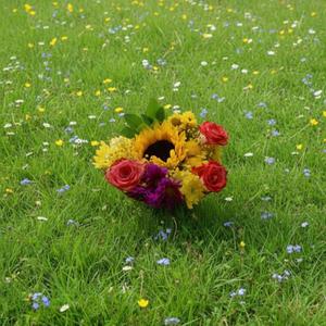 Couple (feat. Romelo G. & Anfaju) (Explicit)