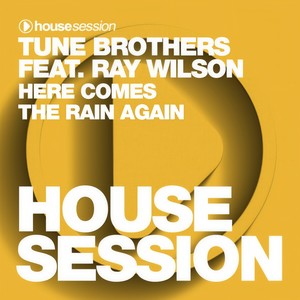 Here Comes the Rain Again (Instrumental Mix)