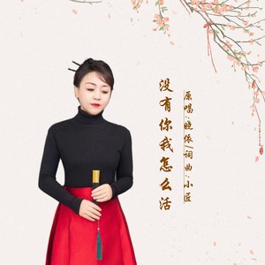 没有你我怎么活DJ