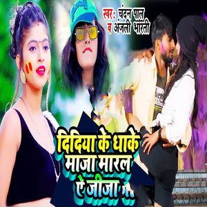 Didiya Ke Dhake Maja Maral Ae Jija