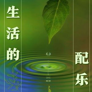 安静 - 开发大脑