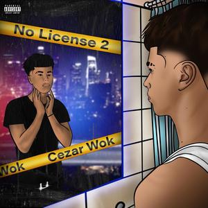 No License 2 (Explicit)