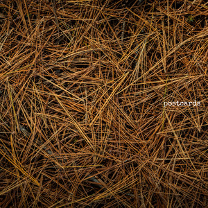 I Dreamt I Was Lost in the Woods