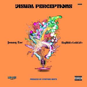 VISUAL PERCEPTIONS (Explicit)