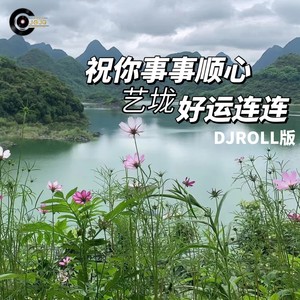 祝你事事顺心好运连连DJROLL版