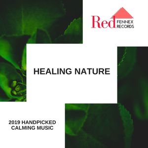 Healed Terra - Shower Some Goodness (Original Mix)