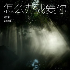 怎么办我爱你 (纯音乐) - 陪你入睡封面