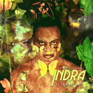 Indra (Zetroc Remix) [Explicit]