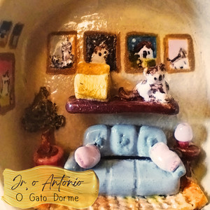 O Gato Dorme