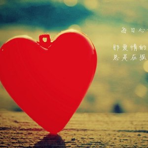 美丽的邂逅 (Demo)