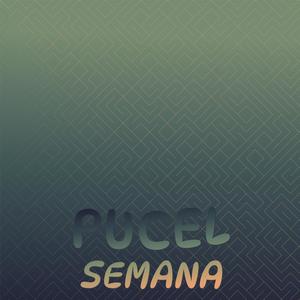 Pucel Semana