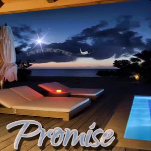 Promise (feat. Smidro) [Explicit]