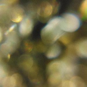 Hai vinto (Explicit)