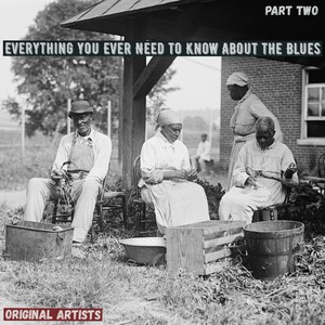 Everything You Ever Need to Know About the Blues, Vol.2