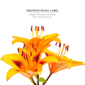 우리 푸른 날 (Our blue day)