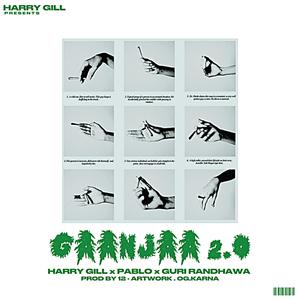 GAANJAA 2.0 (feat. PROD BY 12, PABLO & GURI RANDHAWA) (Explicit)
