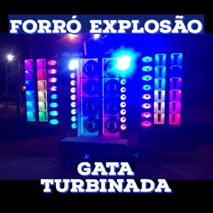 Gata turbinada