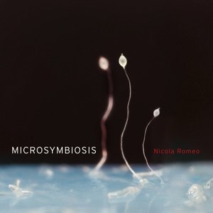 Microsymbiosis
