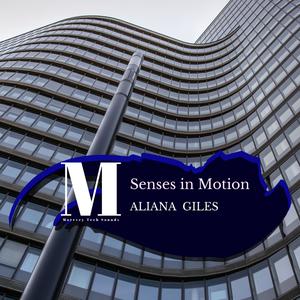 Senses In Motion (Original Mix)