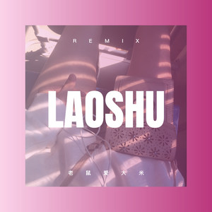 老鼠爱大米 (DJ版)