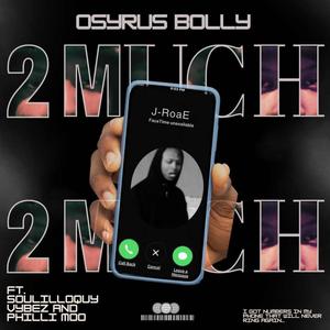 2 MUCH (feat. Philli Moo & Soulilloquy Vybez)