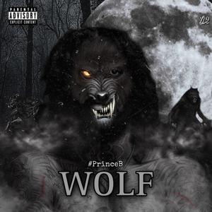 No Danger (feat. Miic Mike & #BuckBill$) (Explicit)