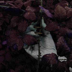 Nocticula (feat. Le Paul White)