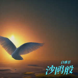 沙鸥般伴奏 (伴奏)