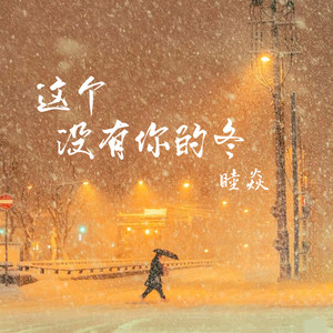 这个没有你的冬