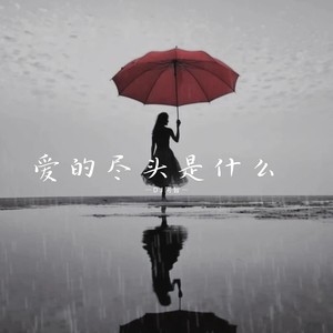 爱的尽头是什么封面